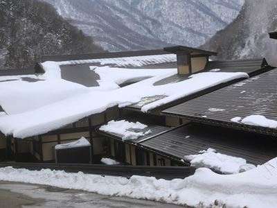 shashin