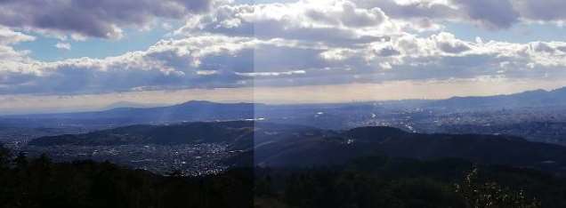 写真