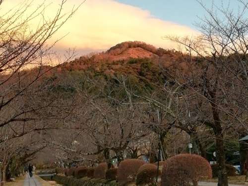 ＴＯＰ写真