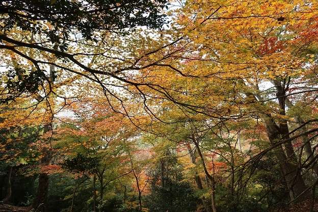 ＴＯＰ写真