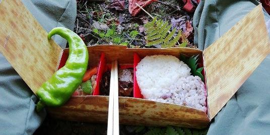 写真