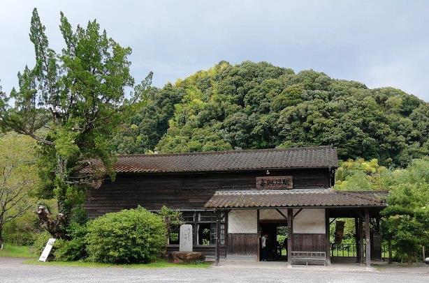 ＴＯＰ写真