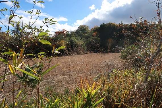 ＴＯＰ写真