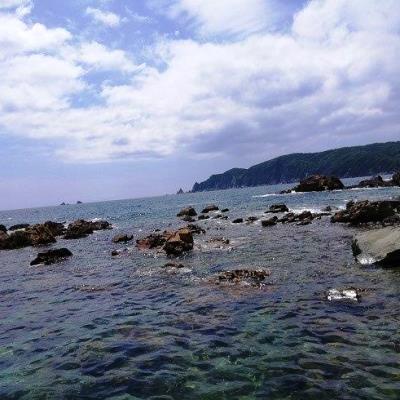 写真