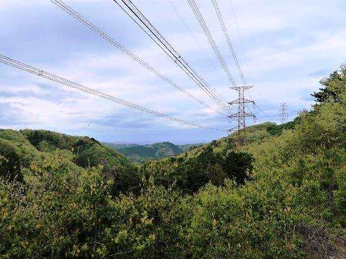 TOP写真