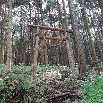 写真