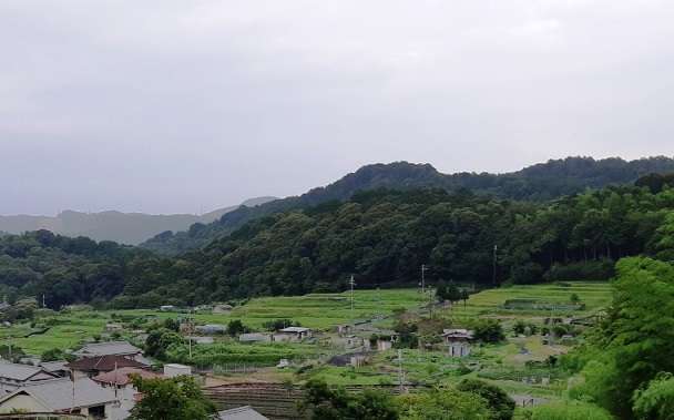 ＴＯＰ写真