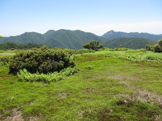 ＴＯＰ写真