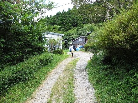 飾り