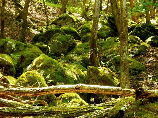 TOP写真