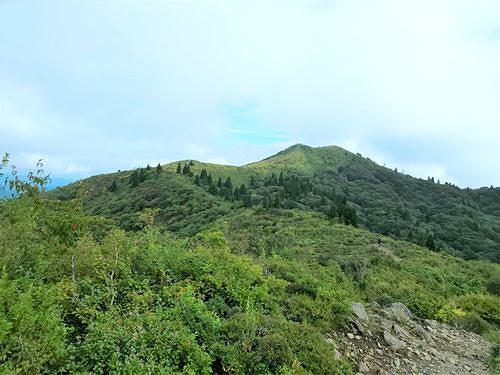 ＴＯＰ写真