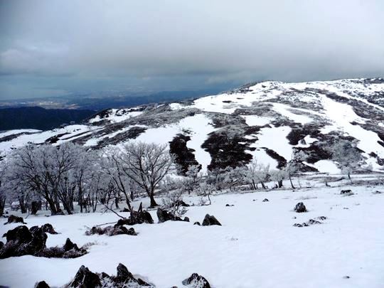 ＴＯＰ写真