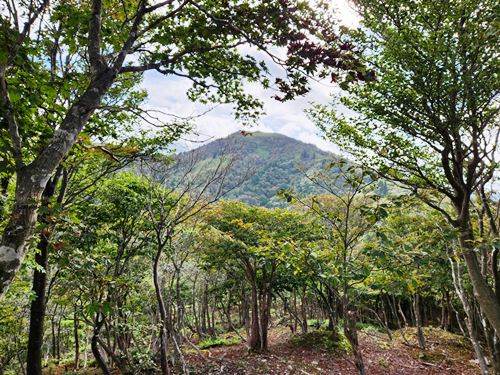 ＴＯＰ写真