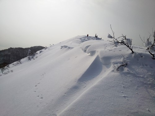 ＴＯＰ写真