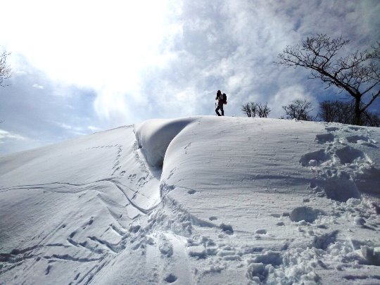 ＴＯＰ写真