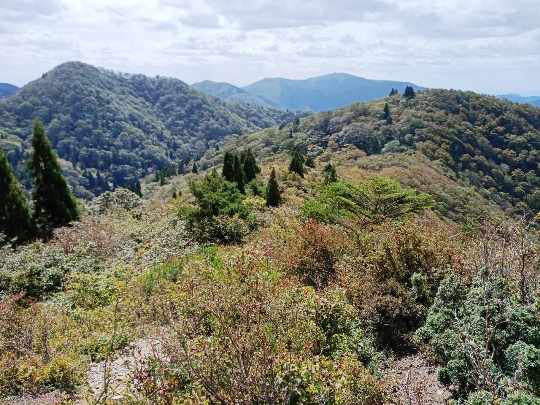 ＴＯＰ写真