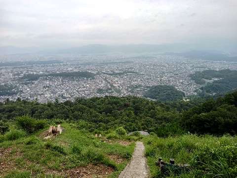 写真