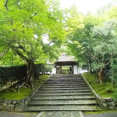 写真