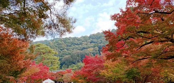 ＴＯＰ写真