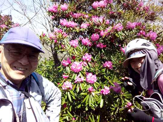 ＴＯＰ写真