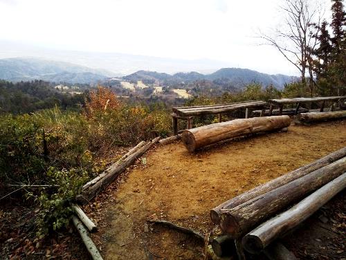ＴＯＰ写真