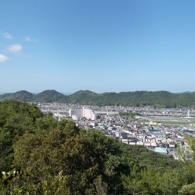 写真