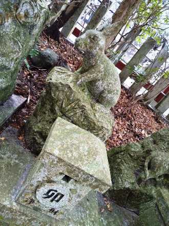 写真