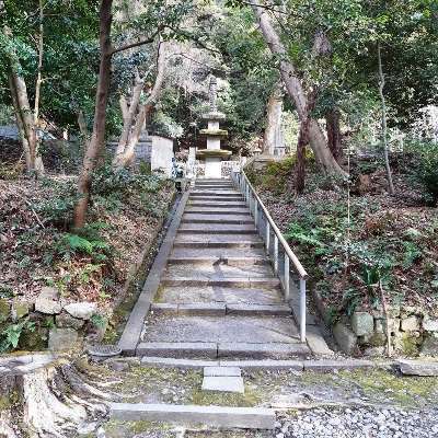 写真