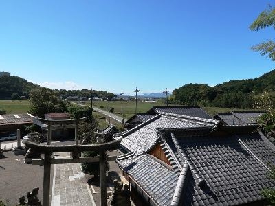 写真