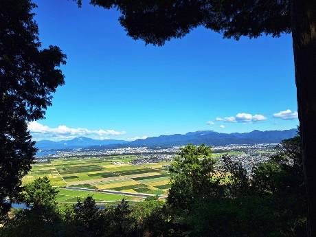 写真