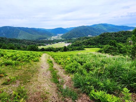写真
