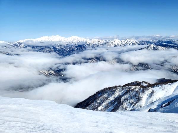 Top_photo