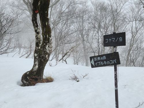 okaokaclubです