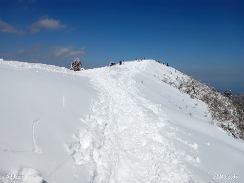 Top_photo