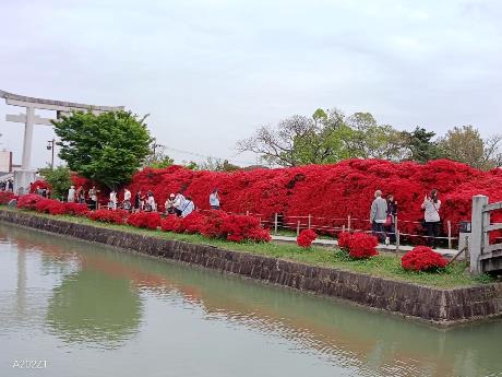 写真