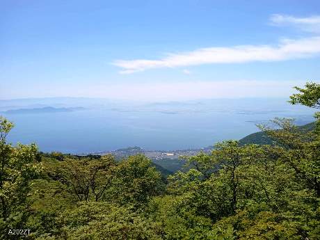 写真