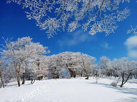 Top_photo