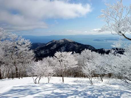 写真