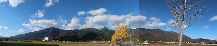 写真