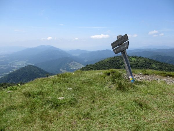 Top_photo