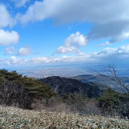 写真