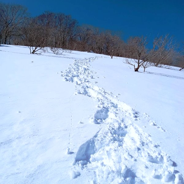 Top_photo