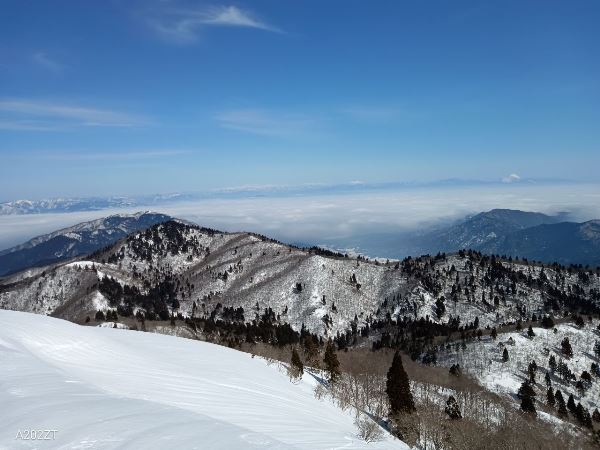 Top_photo