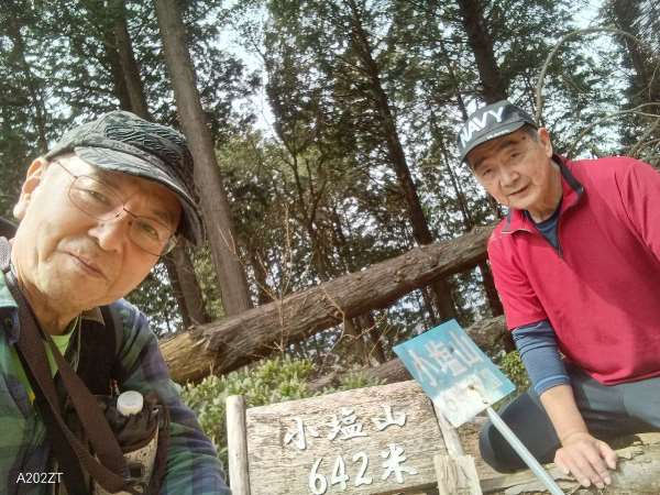 写真