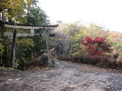 写真