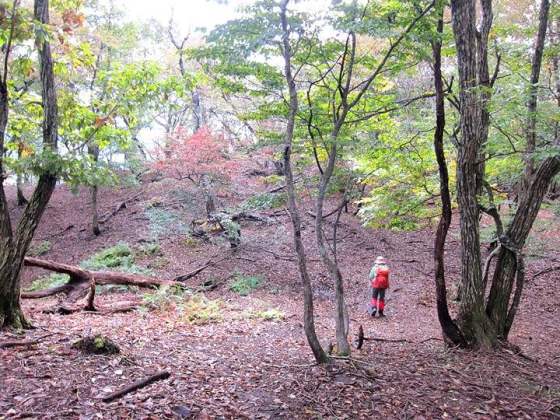 TOP写真