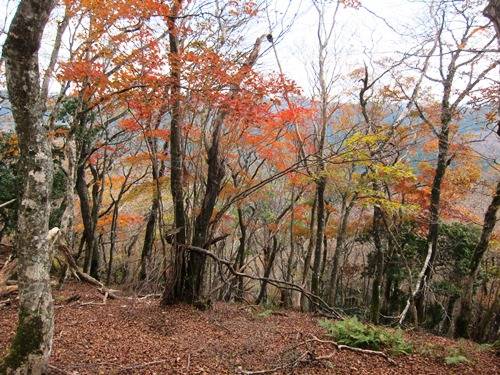 TOP写真