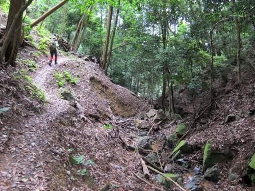 TOP写真