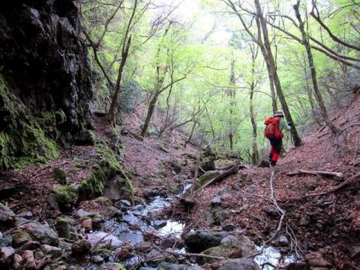 TOP写真