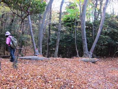 写真
